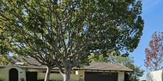 301 Esplanade Gallery 1