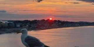 54 Oceanside Drive Gallery 16