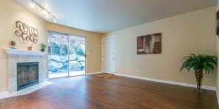 1 Bedroom 1 Bathroom + Amenities in Mountlake Terrace Gallery 1