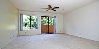 Ocean Crest Gallery 11