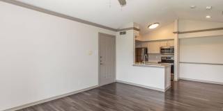 Lakeshore at Preston Gallery 75