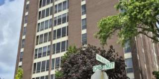 20 Chestnut Street Gallery 30