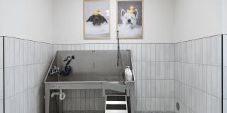 Abberly Royal Creek Apartment Homes Gallery 53