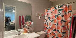 431 Bridgewater Way Gallery 16