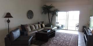 10537 Washingtonia Palm Way Gallery 4