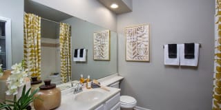 Lake Clearwater Gallery 24