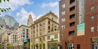 The Nicholas The Nicholas Gallery 36