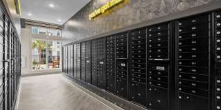 Evolve Champions Gallery 9