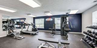 Indy7925 Gallery 7