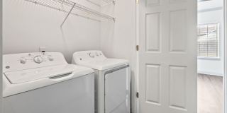 Olympus Carrington Gallery 13