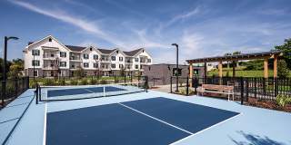 The Darley Gallery 8