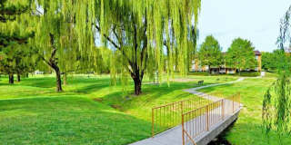 Belmont Park Gallery 14