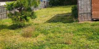 3 Bed 1 Bath Home for Rent in Norfolk! Gallery 3