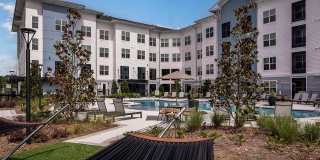 Arcadia 331 Gallery 53