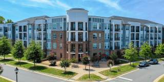 Holly Crest Gallery 1