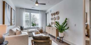 The Met The Met Gallery 4