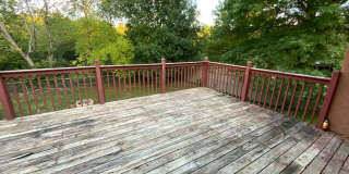 Large 4 Bedroom/3 Bath House with Basement! Gallery 7