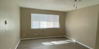 The Pines Apartments Gallery 7