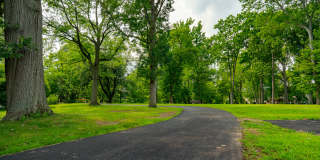 The Hartlan Gallery 51