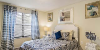 St. Johns Forest Gallery 7