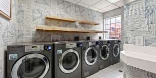 505 Collection Gallery 60