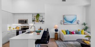 The Spruce Gallery 22