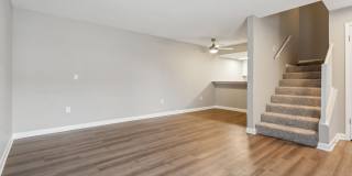 Buena Vista Gallery 83