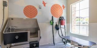 Circa at Fishhawk Ranch Gallery 29