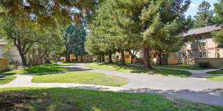 Lincoln Glen Gallery 17