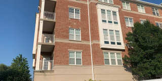 101 Pointe Drive Gallery 1
