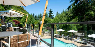 Lakemont Orchard Gallery 17