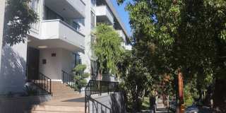 Hillside Terrace Gallery 10