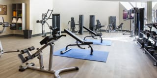 The Brand Gallery 33