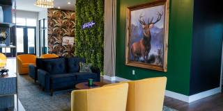 Meribel at the Springs Gallery 35