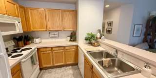 5225 White Willow Drive Gallery 6