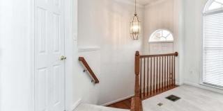 21759 LADYSLIPPER Square Gallery 4