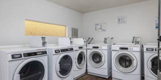 Victory Manor Gallery 21