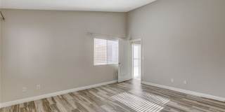 1331 Frost Flower Drive Gallery 18