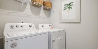 Jackey's Ridge Gallery 18