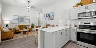 Canopy at Sundance Gallery 45