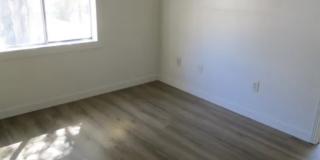 163 Castle Rock Court Gallery 1