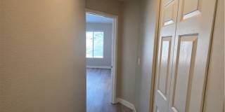 626 Palmwood Lane Gallery 66