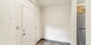 Native Sun Gallery 7