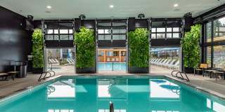 Lumina Apartments Gallery 2