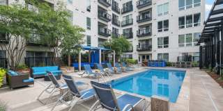 Blue and Lime Gallery 13