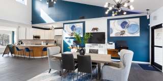 Steeplechase Gallery 31