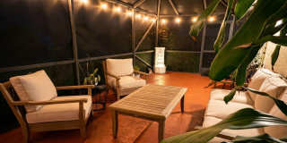 1532 Primrose Lane Gallery 31