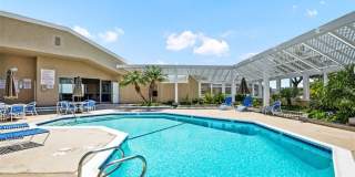 31202 Palma Drive Gallery 41