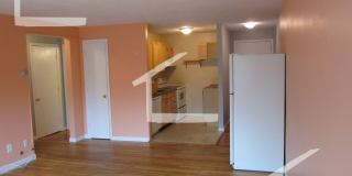 Nice 2 bed in Allston Gallery 6