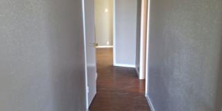 2x1 Less Than $933 Big Yard, Pets OK 2x1 Less Than $933 Big Yard, Pets OK Gallery 9